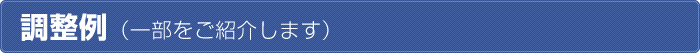 調整例（一部をご紹介します）